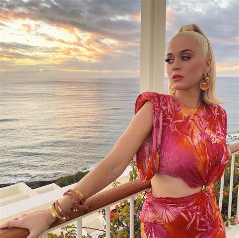 Katy Perry Instagram Snaps Feb 2020