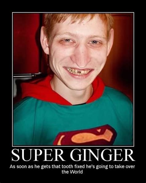 Motivational Posters Super Ginger