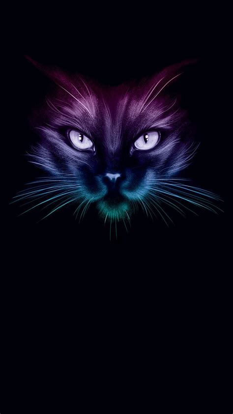 779545016738000883 Black Cat Art Cat Colors Neon Cat