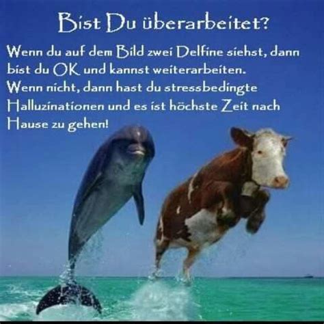 Im folgenden finden sie sprüche und. Pin auf Urlaubsreif