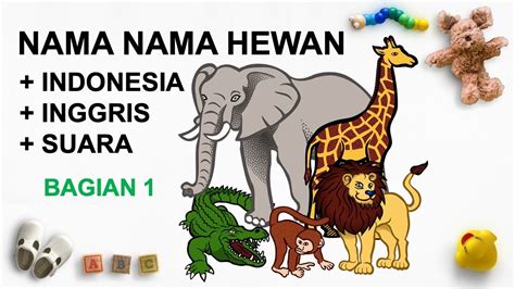 51+ Nama Hewan Huruf Y Bahasa Indonesia, Paling Gokil!