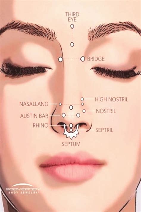 Do it yourself piercing kit. Piercing nose septril 51 Ideas | Cute piercings, Nose piercing, Earings piercings
