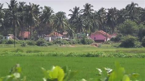 Beautiful Indian Villages In East Godavari District Andhrapradesh