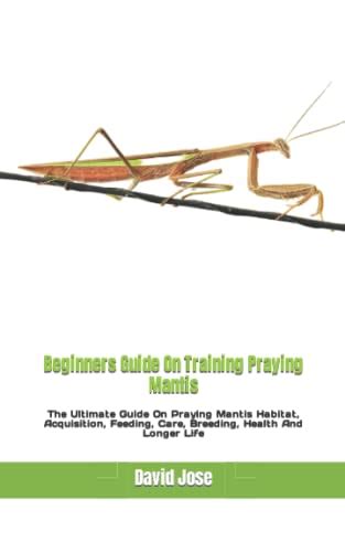 Beginners Guide On Training Praying Mantis The Ultimate Guide On