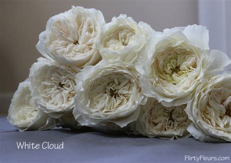 The White Garden Rose Study With Alexandra Farms Flirty Fleurs The