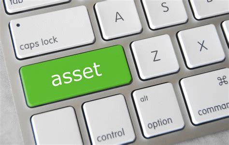 7 Types Of Assets In An Organization Assets Classification With Examples