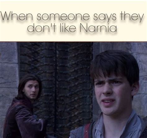 14 ‘chronicles Of Narnia Memes Only True Fans Will Understand