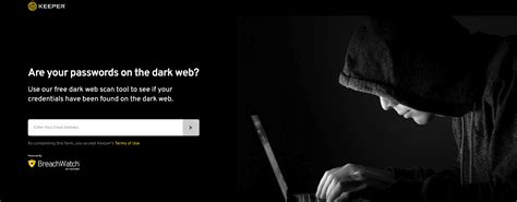 5 Digital Privacy Examples: How to Reclaim Privacy