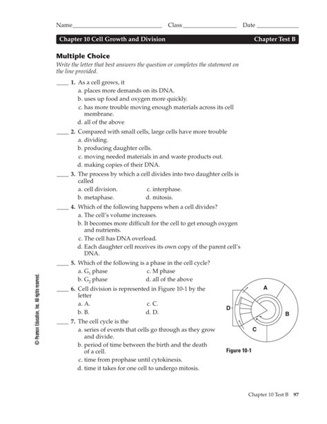 Write the photos of lilly meiosis stages; Worksheet On Cell Division Part 1 Cell Cycle And Mitosis ...