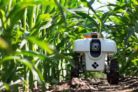 Ag Robots To Help Scientists Identify Heritable Traits And Increase