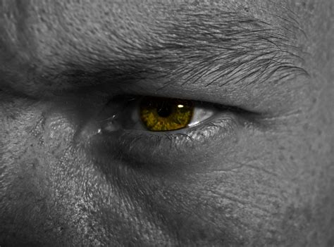 Eye Free Stock Photo - Public Domain Pictures
