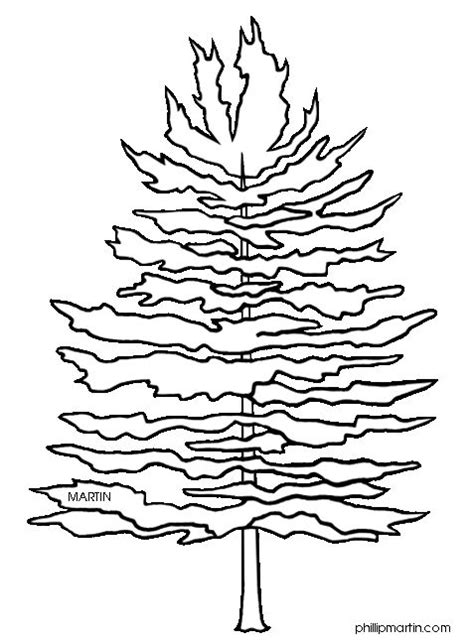 Admired for their tall size and beauty, white pine was an important to building log homes by european settlers, for more facts follow select your preferred language to convert all tree picture pages! Pix For > Clip Art Pine Trees Black And White | Clip Art ...