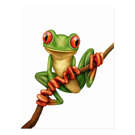 Cute Green Tree Frog On A Branch On White Postcard Frog