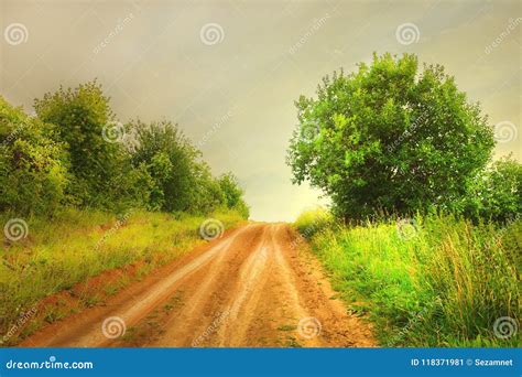 Summer Landscape Country Road Stock Image Image Of Beautiful