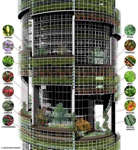 Iowa Aquaponics The Vertical Farm