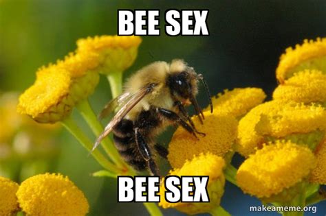 Bee Sex Bee Sex Good Guy Bee Make A Meme