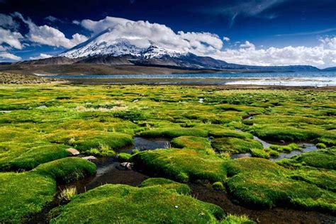 Los 10 Mejores Parques Nacionales De Chile Fotos