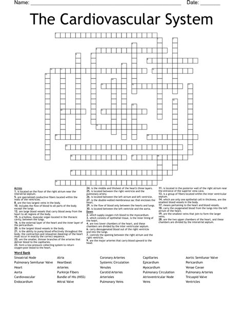 The Healthy Heart Word Find Word Search Wordmint