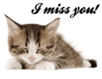 Miss-You-Kitty :: Miss You :: MyNiceProfile.com