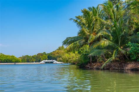 Lush Forests Surrounding The Koggala Lagoon In Sri Lanka Stock Photo