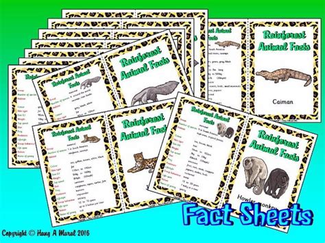 The Rainforest Animals Fact Sheets Teaching Resources