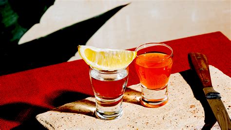 The Best Tequilas To Drink Straight Because Youre All Out Of Mixers