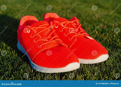 stel de het levenstennisschoenen op groen gras in werking paar tennisschoenen op zonnige