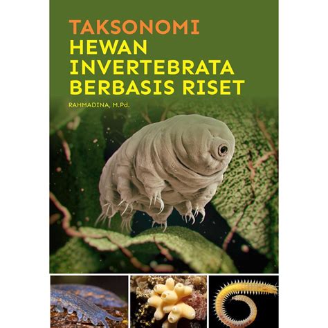 Jual Buku Taksonomi Hewan Invertebrata Berbasis Riset Original