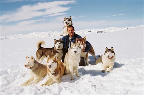 List of eight below characters, along with pictures when available. Miss weather: Eight Below