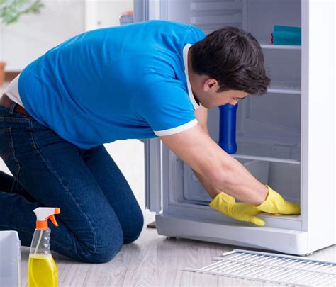 How To Clean Your Refrigerator Properly Domex Ltd