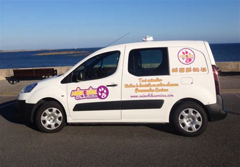Taxi Animalier Animobile Services Services Animalier Transport