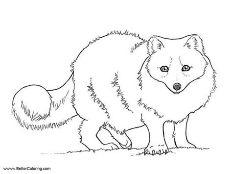 Arctic Tundra Animals Coloring Pages Fox Free Sketch Coloring Page
