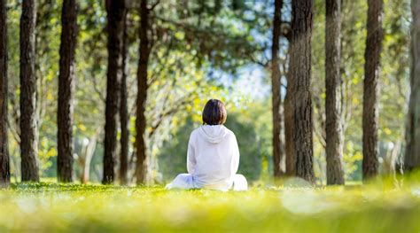 How Mindfulness Can Contribute To Healing Learn To Live Blog