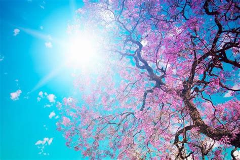 Spring Wallpaper ·① Download Free High Resolution Wallpapers For