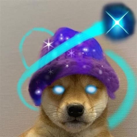 Собачка Вселенская In 2021 Dog Icon Puppy Wallpaper Dog Memes