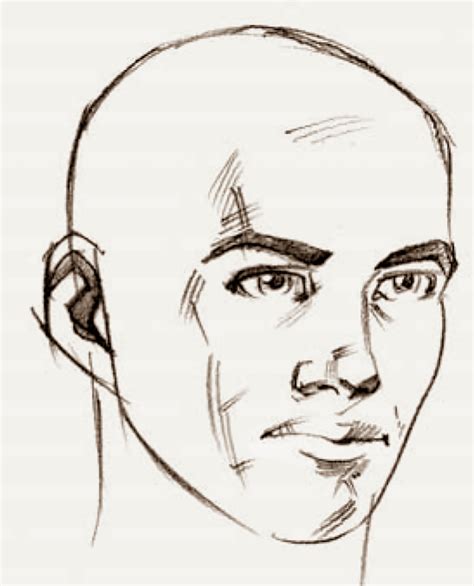 Human Face Profile Drawing Hot Sex Picture