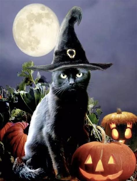 Us Seller 50x40cm Black Cat Witch Hat Full Moon Etsy In 2020