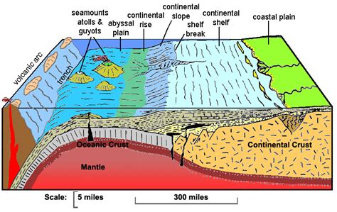 51 Ocean Basins Geosciences Libretexts