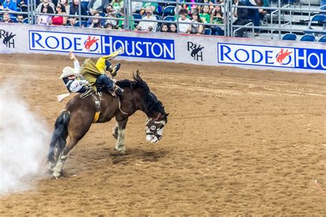 Houston Livestock Show And Rodeo Smithsonian Photo Contest Smithsonian Magazine