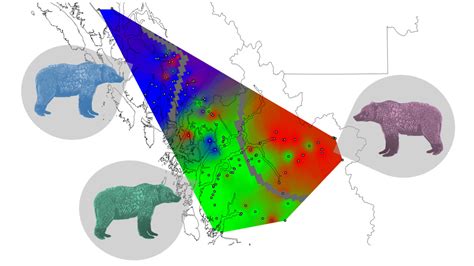 ‘mind blowing grizzly bear dna maps onto indigenous language families science aaas