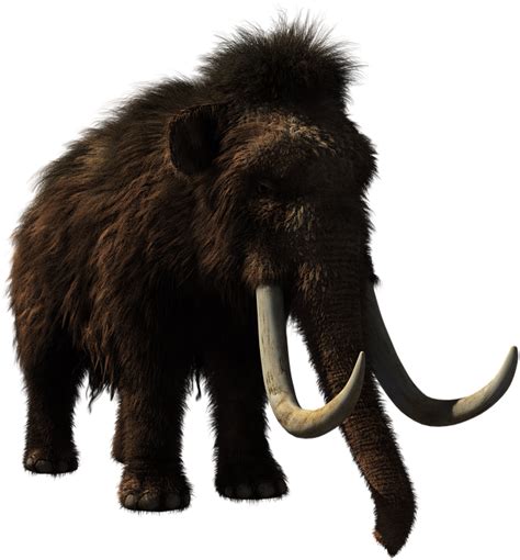 Mammoth Png Images Transparent Free Download Pngmart