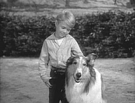 Lassie Volume 1 Dvd Oder Blu Ray Leihen Videobusterde