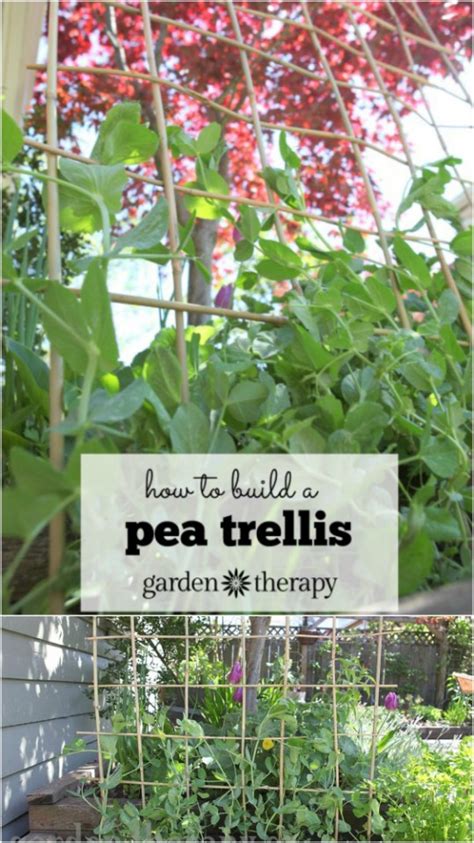 20 Easy Diy Trellis Ideas To Add Charm And Functionality