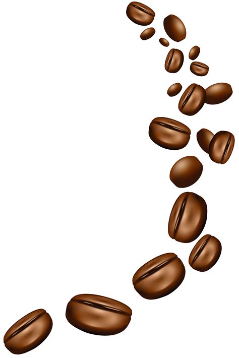 coffee bean clip art free 20 free cliparts download images on clipground 2024
