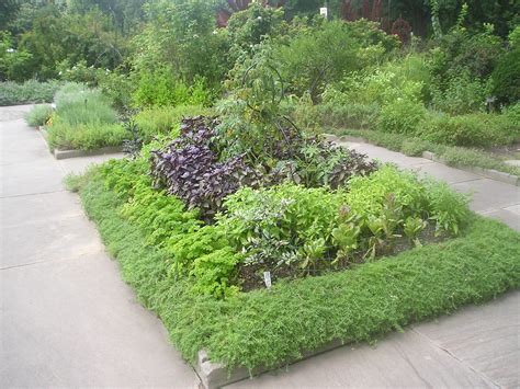 Small Garden Ideas Herbs Garden Design