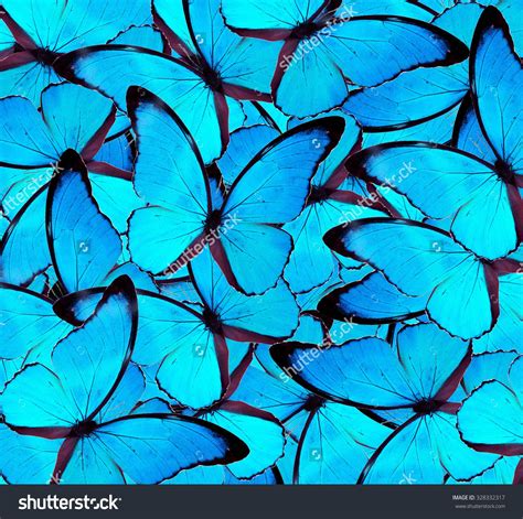 Butterfly Background Textured Background Blue Butterfly
