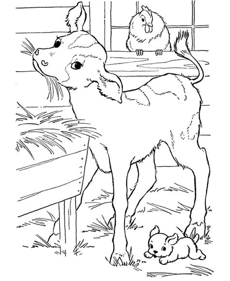 Baby Cows Eat Breakfast Coloring Pages Kids Play Color