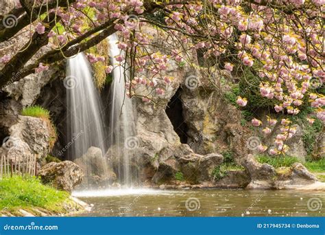 Japanese Cherry Tree Is In The Park Next To The Waterfall Stock Photo