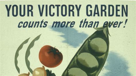 Victory Garden Propaganda Posters Fasci Garden