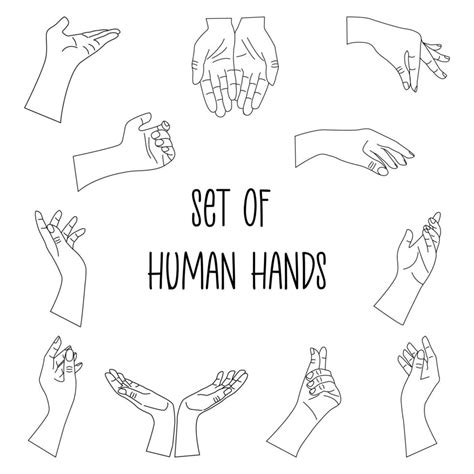 Human Hands Set Linear Vector Isolated Black And White 18863865 Vector